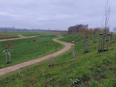 Sehnde | Umweltberichte | Landschaftsplanung | Bebauungsplan | büro planerzirkel | Hildesheim | Hannover 